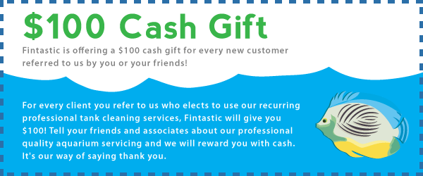 $100 Cash Gift